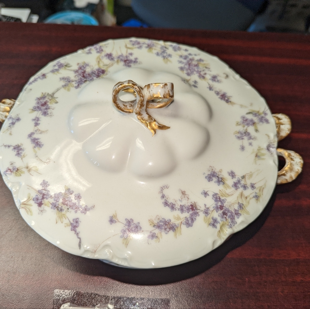 1900's Antique Factory Decorated Haviland & Co Limoges Frances